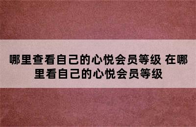 哪里查看自己的心悦会员等级 在哪里看自己的心悦会员等级